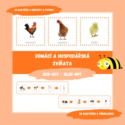 DOMÁCÍ A HOSPODÁŘSKÁ ZVÍŘATA - Bee-Bot / Blue-Bot