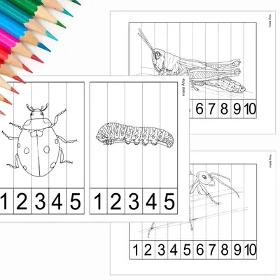  PUZZLE PROUŽKY - HMYZ
