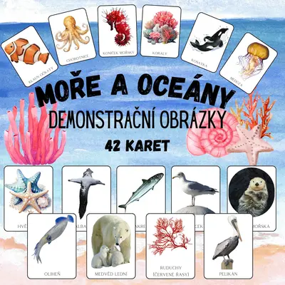 MOŘE A OCEÁNY - podmořský svět, život u moře, živočichové, zvířata - demonstrační obrázky