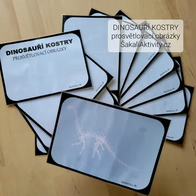  PROSVĚTLOVACÍ OBRÁZKY - DINOSAUŘÍ KOSTRY 