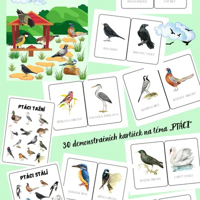 PTÁCI 🦉🐦