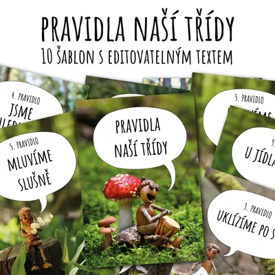 Pravidla naší třídy