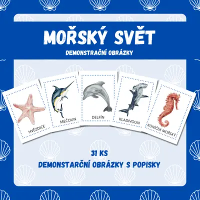 MOŘSKÝ SVĚT - demonstrační obrázky