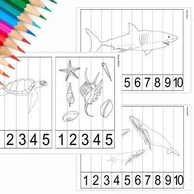 PUZZLE PROUŽKY - MOŘE A OCEÁNY