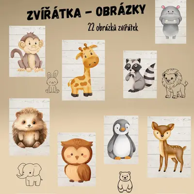 🦁🦓ZVÍŘÁTKA- OBRÁZKY🐸🐻