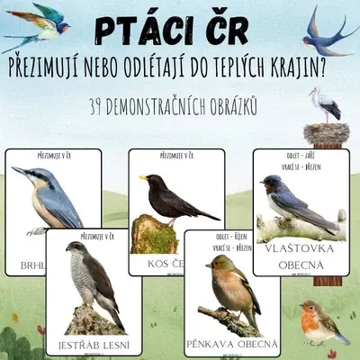 PTÁCI ČR - Demonstrační obrázky - PŘEZIMUJÍ? ODLÉTAJÍ?