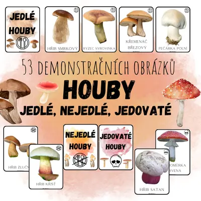 DEMONSTRAČNÍ OBRÁZKY - HOUBY (jedné, nejedlé, jedovaté)