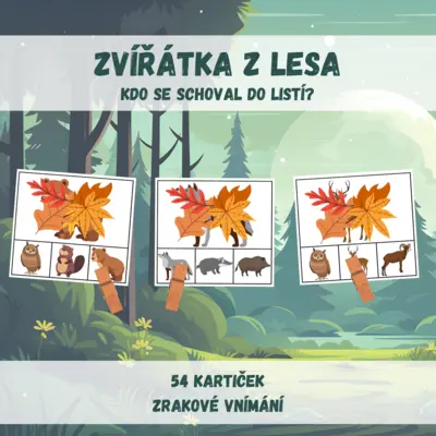 Zvířátka z lesa - kdo se schoval do listí?