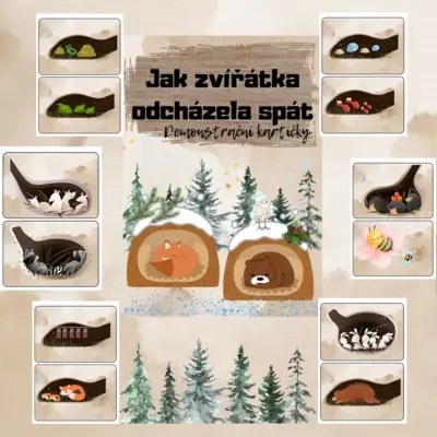 JAK ZVÍŘÁTKA ODCHÁZELA SPÁT💤🐻🦔🦡🛌🏻