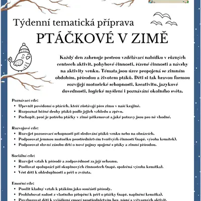 příprava: Ptáci v zimě
