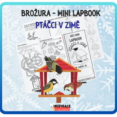 MINI lapbook - Ptáčci v zimě