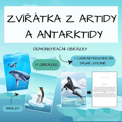 Zvířátka z Arktidy a Antarktidy