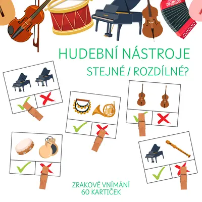 HUDEBNÍ NÁSTROJE - stejné / rozdílné?