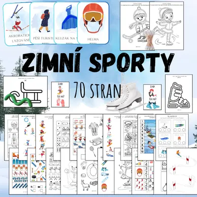 ZIMNÍ SPORTY