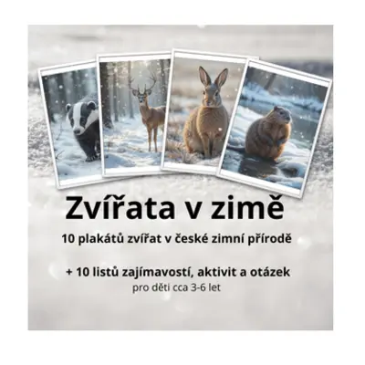 Zvířata v zimě - plakáty a aktivity