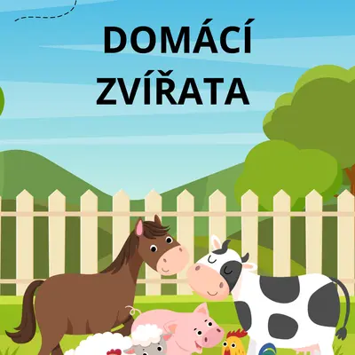 Domácí zvířata 🐶