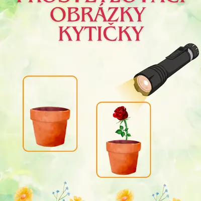 Prosvětlovací obrázky kytky