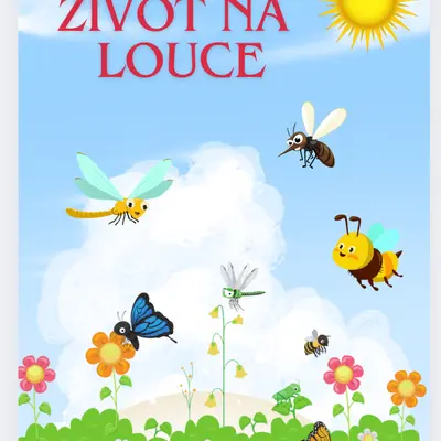Život na louce- hmyz
