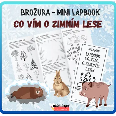 MINI lapbook - CO VÍM O ZIMNÍM LESE