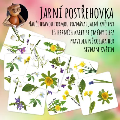 Postřehovka s jarními květinami
