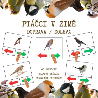 PTÁČCI V ZIMĚ - Doprava / doleva?