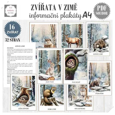 ZVÍŘATA V ZIMĚ - INFORMAČNÍ PLAKÁTY 
