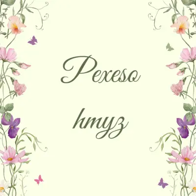 Pexeso - hmyz