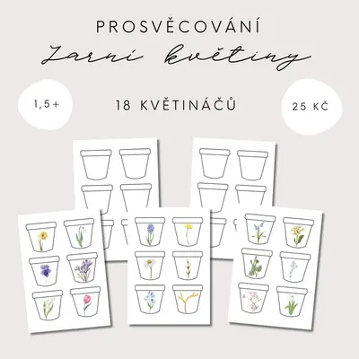 Prosvěcování květináčů - jarní květiny