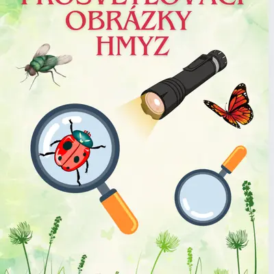 Prosvětlovací obrázky hmyz