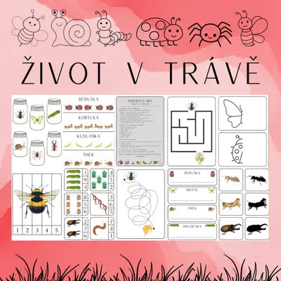 ŽIVOT V TRÁVĚ - AKTIVITY