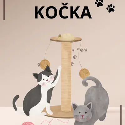 KOČKA 🐈
