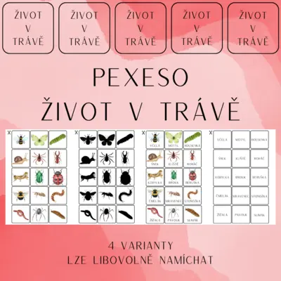 PEXESO - ŽIVOT V TRÁVĚ
