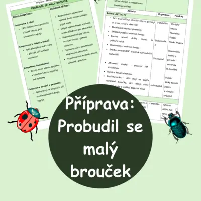 Příprava - Probudil se malý brouček