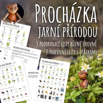 Procházka jarní přírodou