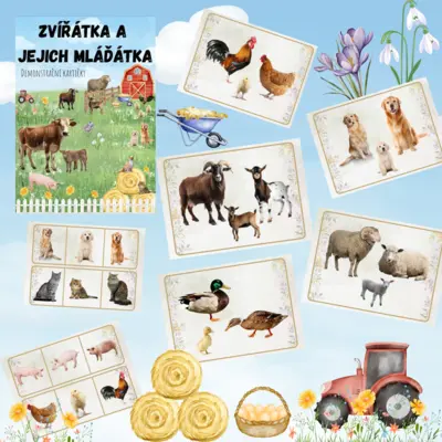 🐶🐱ZVÍŘÁTKA A JEJICH MLÁĎÁTKA 🐮🐷