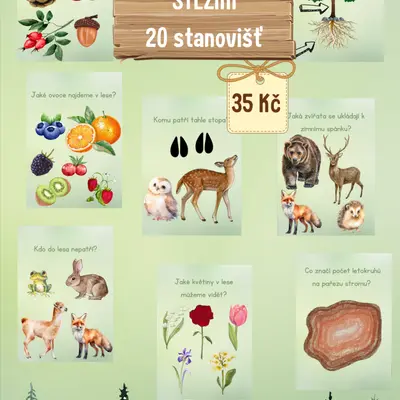 🌲 LESNÍ NAUČNÁ STEZKA / LESNÍ PLOTOVKA 🦌 🍂