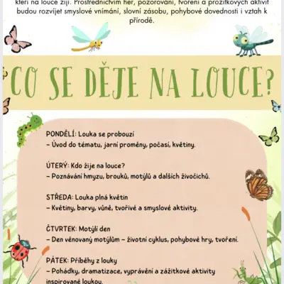 Jarní louka - brouci, květiny, jaro