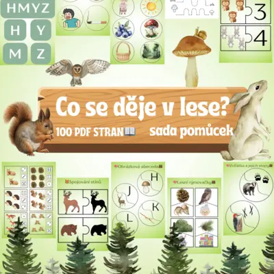 🌲✨ CO SE DĚJE V LESE? ✨🌳