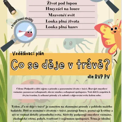 Co se děje v trávě? (jaro, hmyz, květiny)