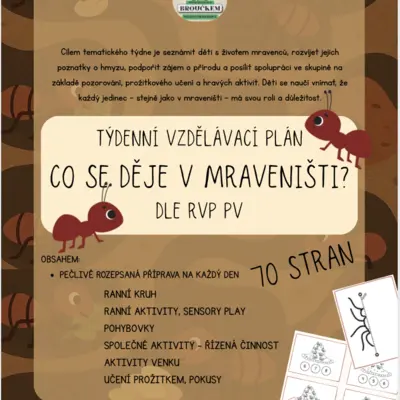 Mravenci- co se děje v mraveništi? (Hmyz, příroda)