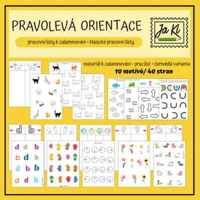 Pravolevá orientace