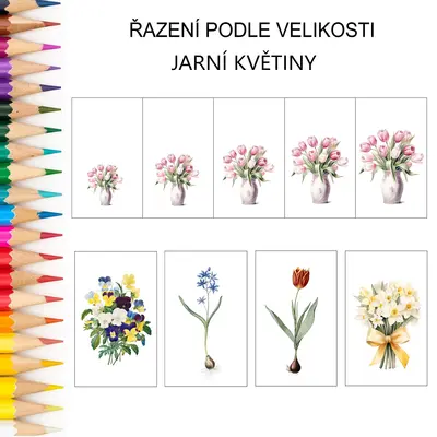 Řazení podle velikosti JARNÍ KVĚTINY