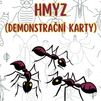 Hmyz - Demonstrační karty 