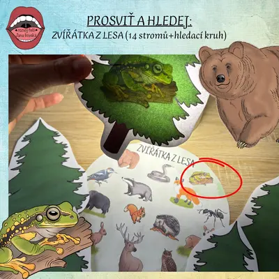 PROSVIŤ A HLEDEJ: ZVÍŘÁTKA Z LESA