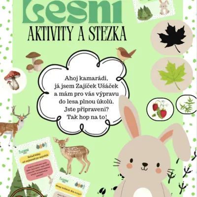 AKTIVITY Z LESA (Les, stezka, příroda)