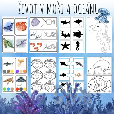 ŽIVOT V MOŘI A OCEÁNU