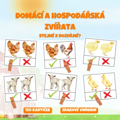 DOMÁCÍ A HOSPODÁŘSKÁ ZVÍŘATA - stejné x rozdílné?