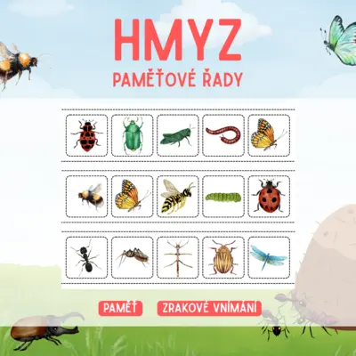 HMYZ - paměťové řady