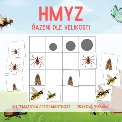HMYZ - řazení dle velikosti