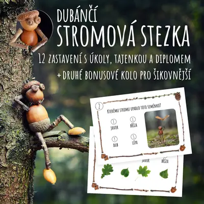 Dubánčí stromová stezka